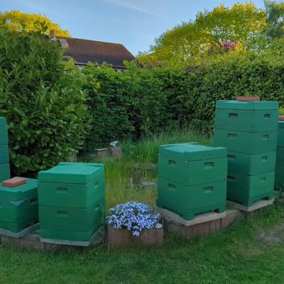 Der Bienenstand in unserem Garten